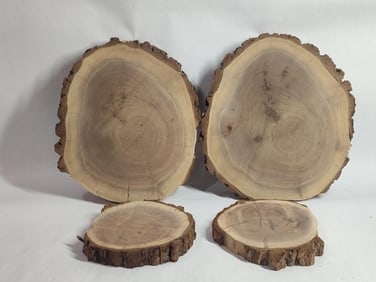 Live edge rustic wood slabs (4)