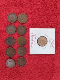 11 indian head pennies