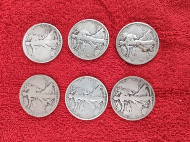 6 walking liberty silver half dollars