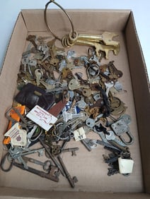 lot of keys includes some skeleton keys