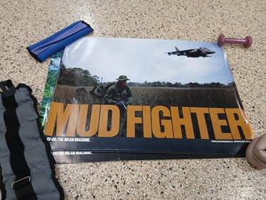 Mcdonnell Douglas AV-8B The mean machine posters