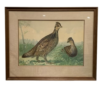 Antique Alexander Pope Jr. Pinnated Grouse Framed Chromolithograph Bird Artwork