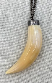 Large BIG CAT Genuine Curved Tooth Pointed Fang Pendant on Sterling Silver Chain