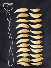 Large African Canine Teeth
