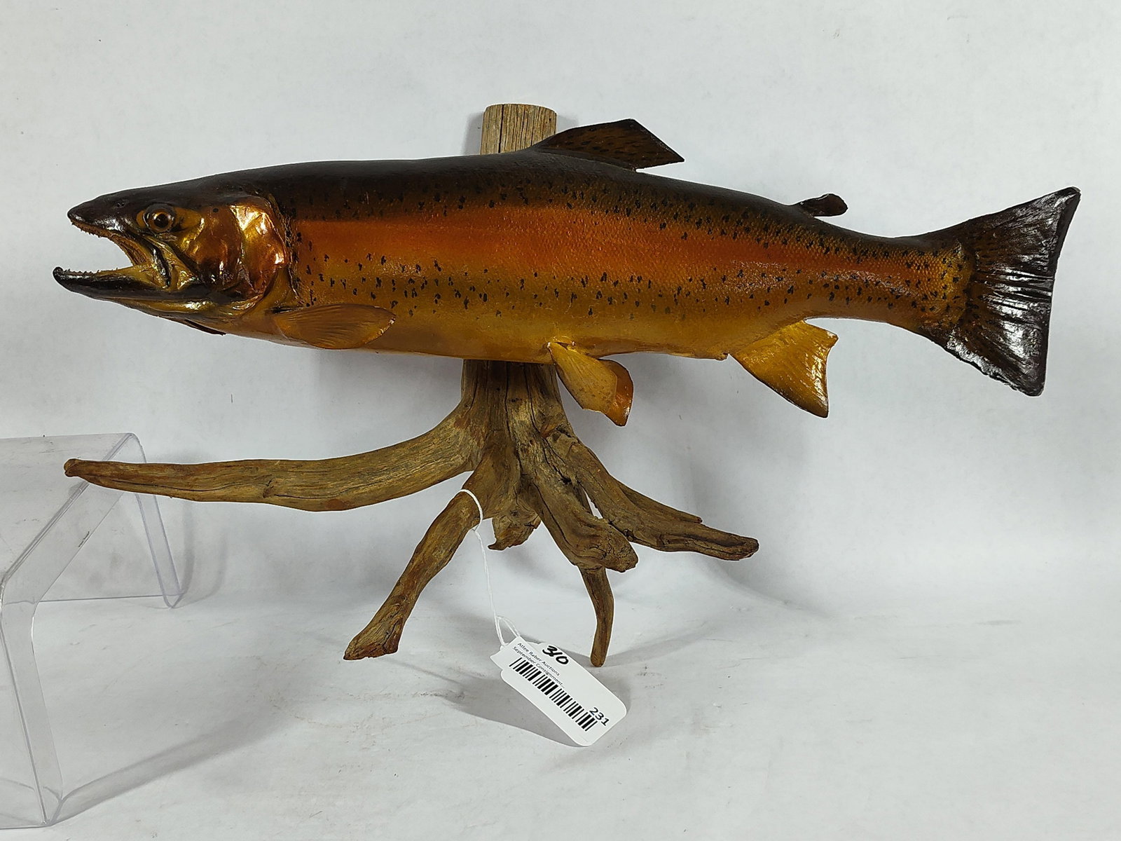 Rainbow Trout Mounted Fish (1 of 7)