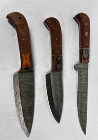 Rustic Handled Damascus Blade Knife Set