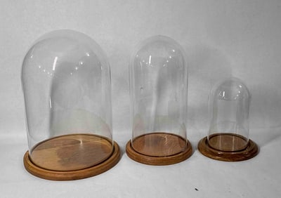 Glass Domed Display Cases