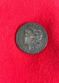 1882 S Morgan Dollar