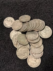 28 BUFFALO HEAD NICKELS