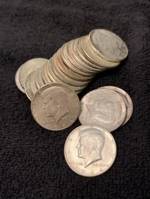 19-KENNEDY HALF DOLLARS