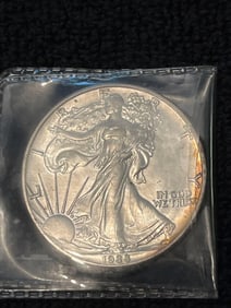 1988 SILVER EAGLE