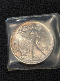 1989 SILVER EAGLE