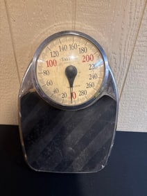 TAYLOR PROFESSIONAL RETRO SCALE