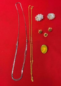 Clip Earrings, Chain, and Coral Necklace