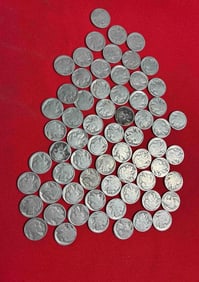 65 Buffalo Head Nickels