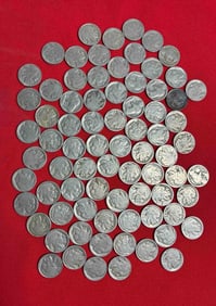 76 Buffalo Head Nickels