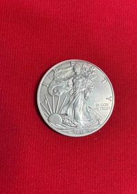 2019 Silver Eagle