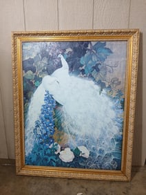 White Peacock Canvas Framed Art