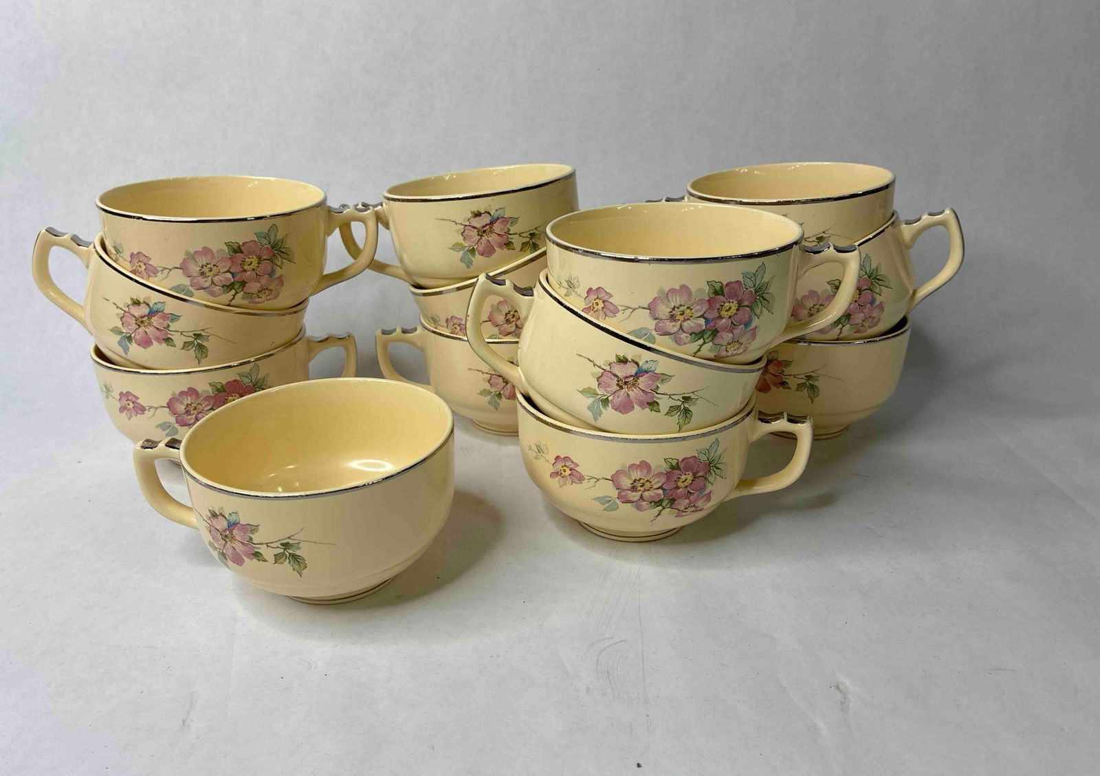 Homer Laughlin Briar Rose Tea Cups: 13 cups. 
