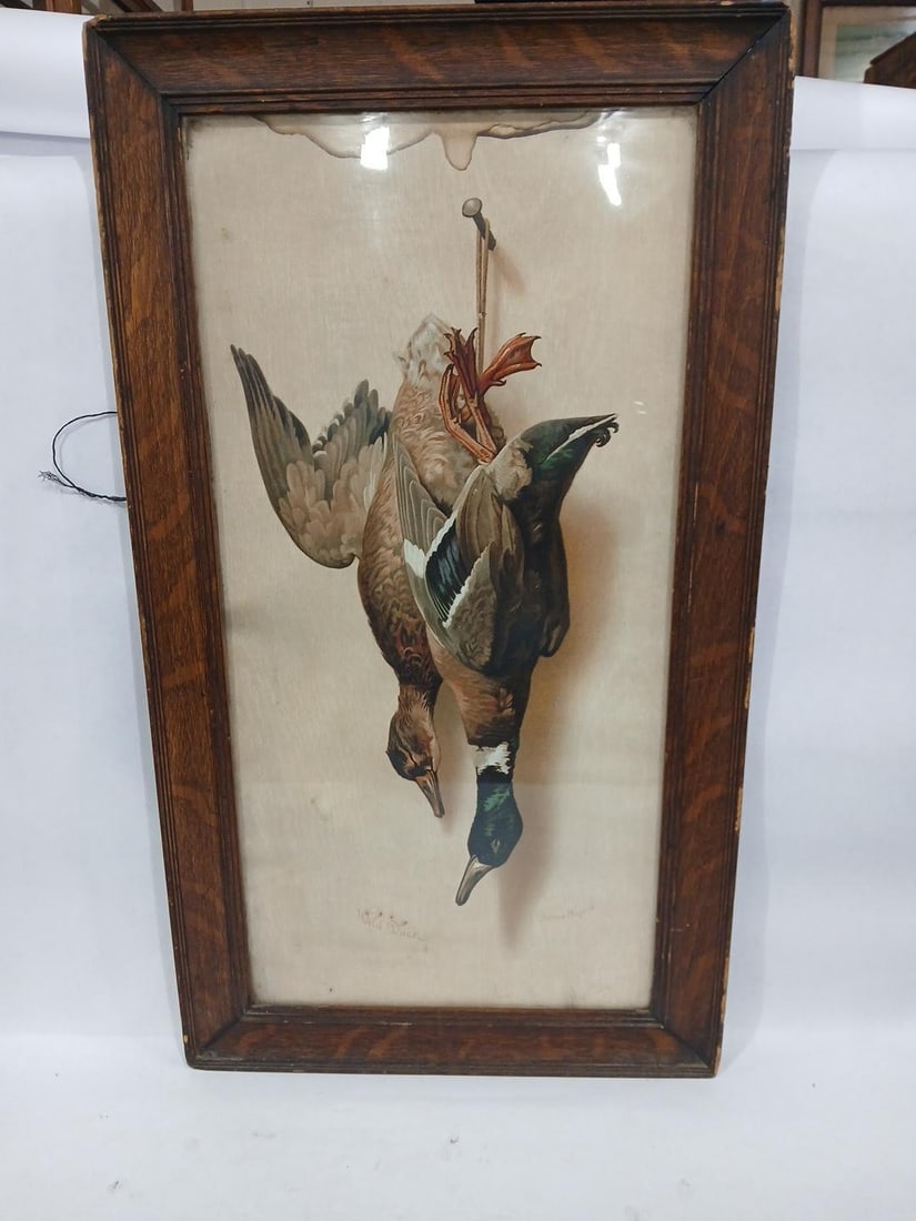 Helena McGuire Wild Duck Framed Mallard Print (1 of 9)