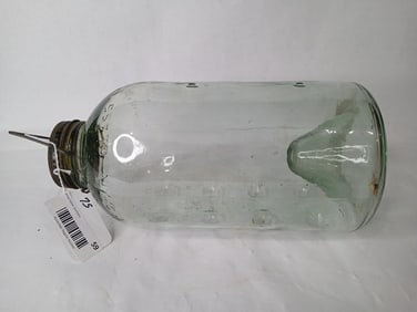 Mcswain Jr Glass Bait Trap