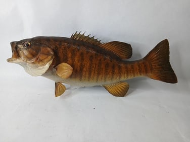 Smallmouth Bass Taxidermy Mount