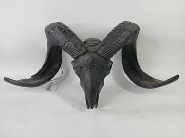 Deep Black Painted Ram Skull