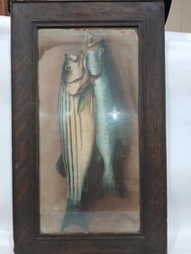 1896 Framed Fish Henri Leroy Chromolithograph