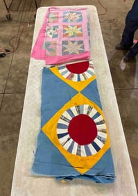 Dresden Plate and Pinwheel Quilt Toppers