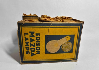 6- Edison Light Bulbs in Original Packaging