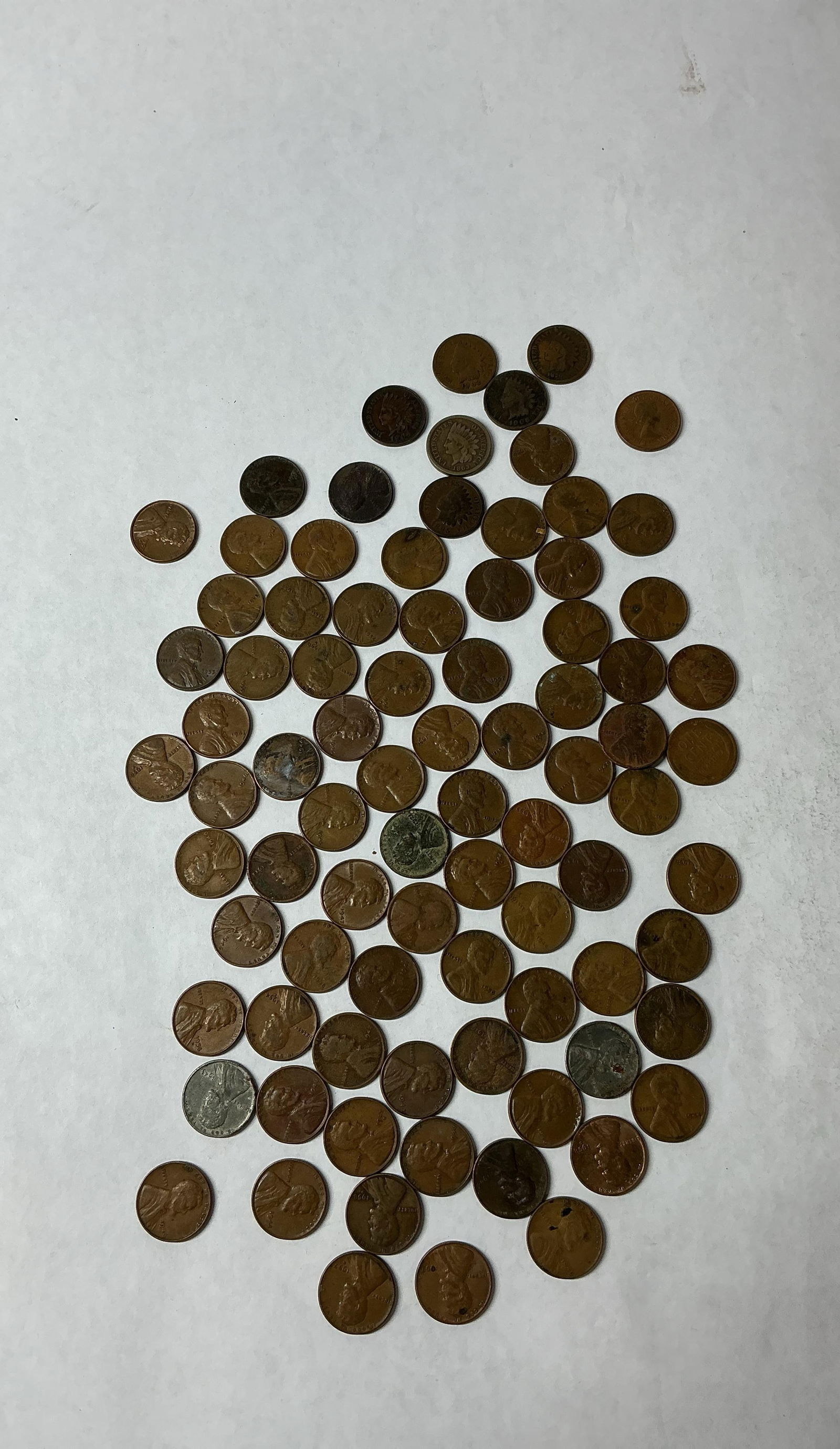 Indian Head and Wheat Pennies (1 of 7)