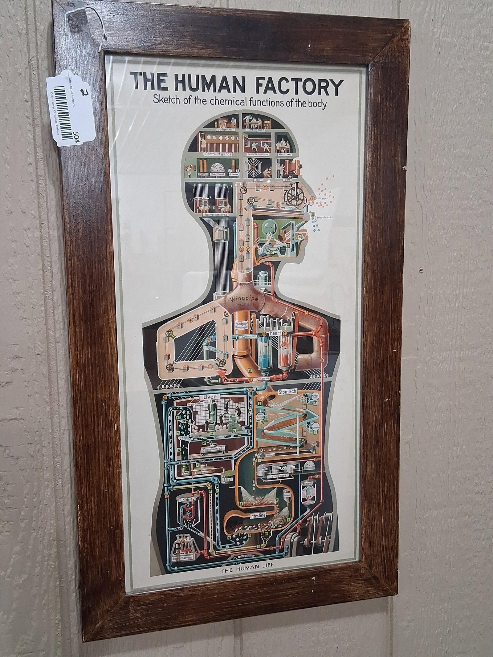 The Human Factory Lithograph: Sketch of the chemical functions of the human body. Great color and composition. 27.5x15.5