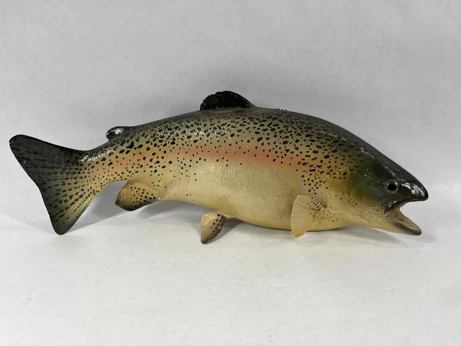 Rainbow Trout Fish Mount (1 of 5)