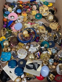 Ladies Clip and Pierced Earrings