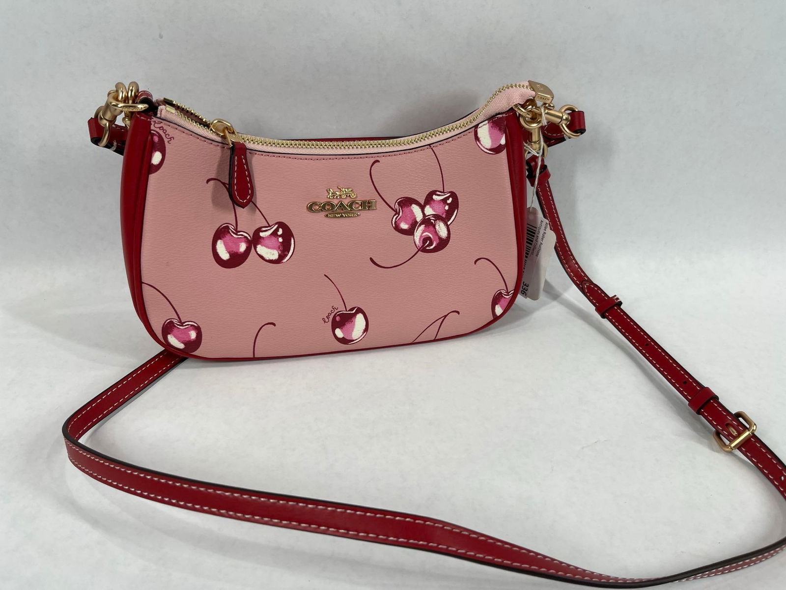 Coach Teri Cherry Shoulder Bag (1 of 6)