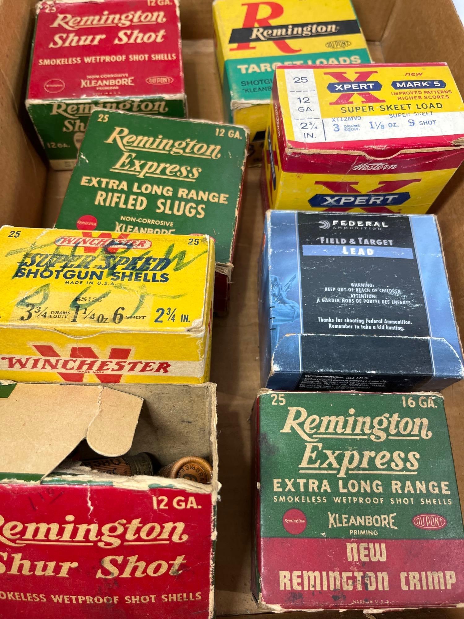 Winchester, Remington, Federal, and Western Ammo (1 of 9)