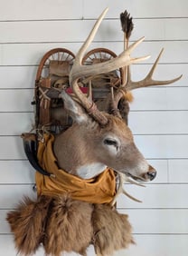 Most Unique Whitetail Deer Backpack Mount