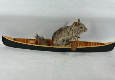 Taxidermy Chinchilla in Canoe