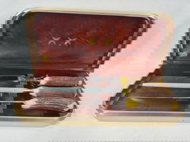 Case XX Bone Handled stainless carving set in orig case