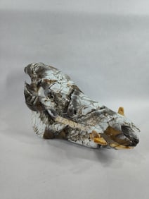 Taxidermy Hydro Dipped Wild Boar Skull