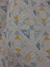 Hand Stitched Floral Block w/ Blue Gingham Backed and Trim Quilt