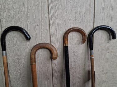 Early Lot of Walking Canes Inc. Horn Handle and Tip along with Wood