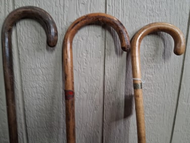 Sharples and 1933 Century of Progress Chicago Souvenir Walking Stick / Cane Lot of 3