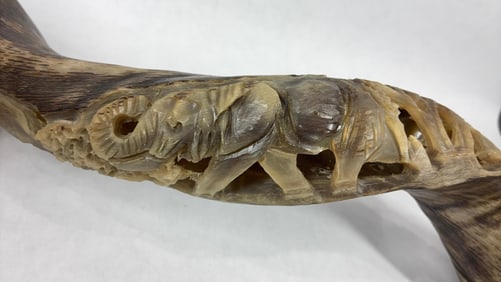 Intricately Carved African Kudu Horn Shofar Depicting Elephant Trail