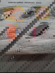 Early Eye & Vision Optometrist Pull Down Poster