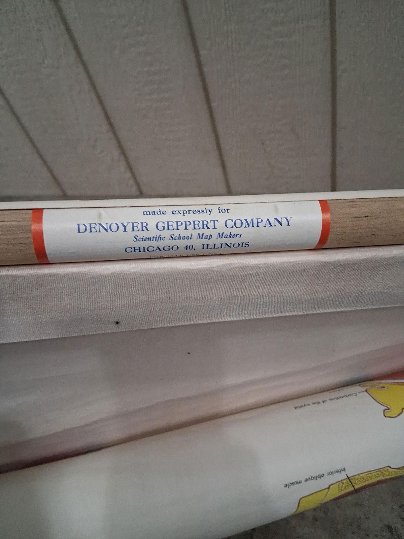 Early Eye & Vision Optometrist Pull Down Poster - 7