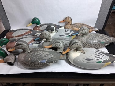Mallards & Pintail Duck Decoys