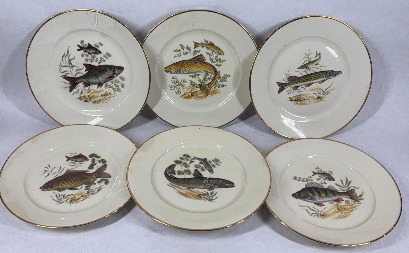 1960s Rosenthal Germany Fish Plates: Set of 6, each with a different fish pattern. Great condition with gold lined edges. Each plate is 10 inches in diameter.