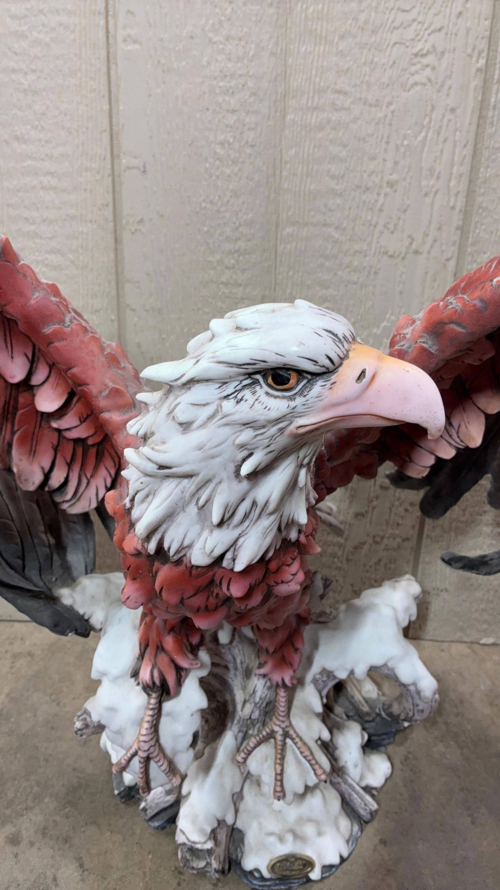 De Capoli Bald Eagle - 2