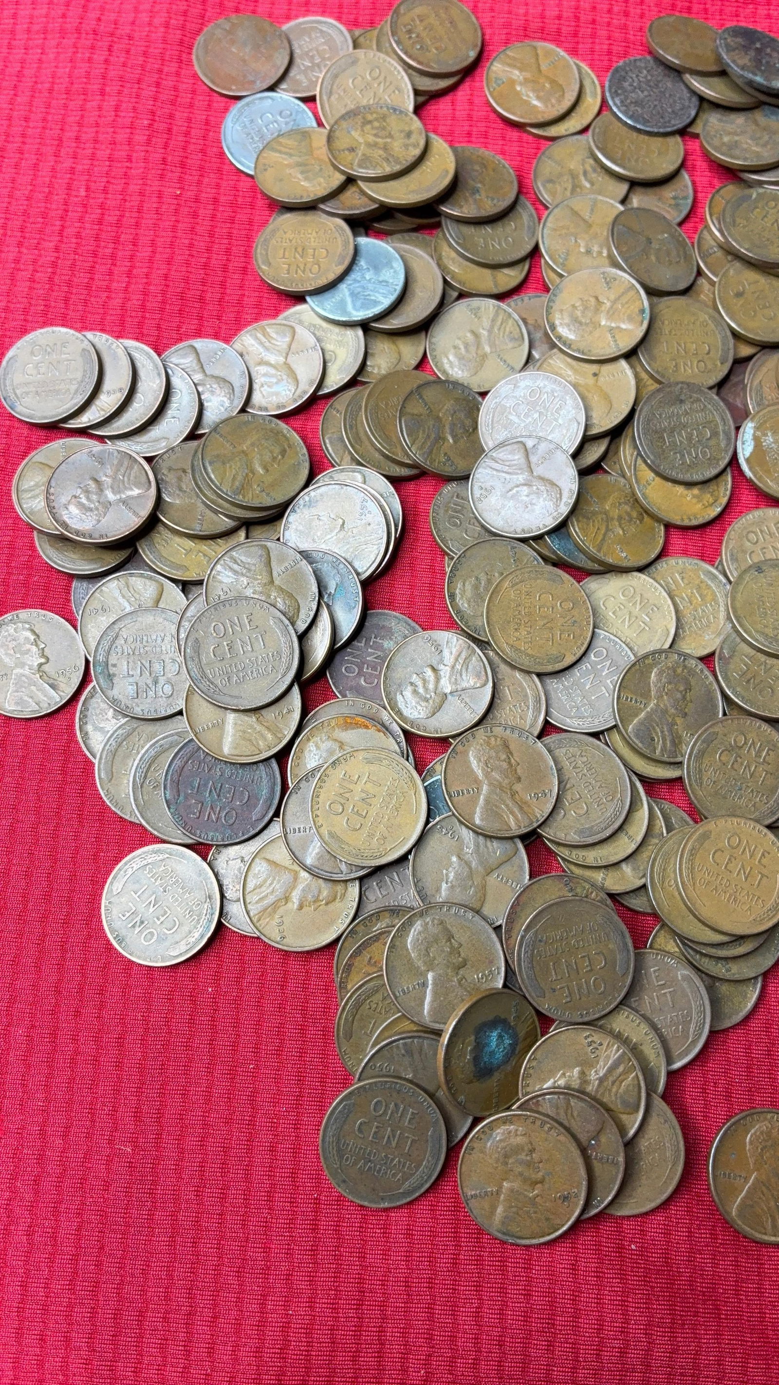 250 Unsorted Wheat Pennies - 6